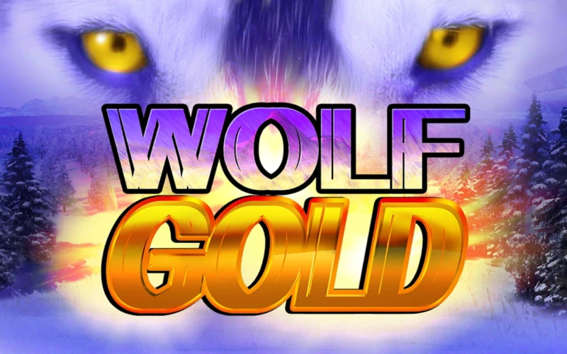 Win prizes with the Wolf Gold Slot at official Bet365 India.